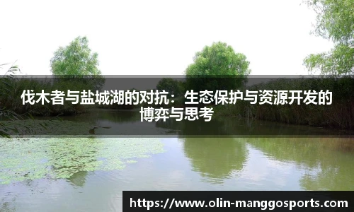 芒果体育官网入口